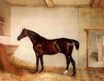 horse cats Painting - A Bay Hunter In A Loose Box horse John Ferneley Snr